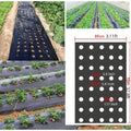 AgroShield Weed Control Fabric | Black Mulch Film | Plant Protection & Yield Increase | Ideal for Greenhouses