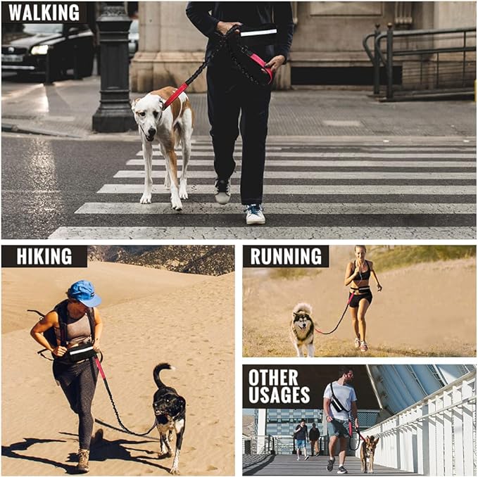 Walkora | Freihand-Hundeleine mit Stoßdämpfung | Verstellbarer Hüftgurt | Für Hunde von 20–36 kg