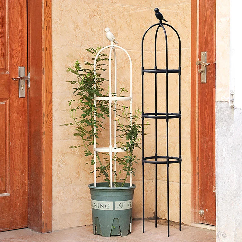 GrowArc Garden | Plant Support Made of Fiberglass | Stable & Weatherproof | For Climbing Plants & Vegetables
