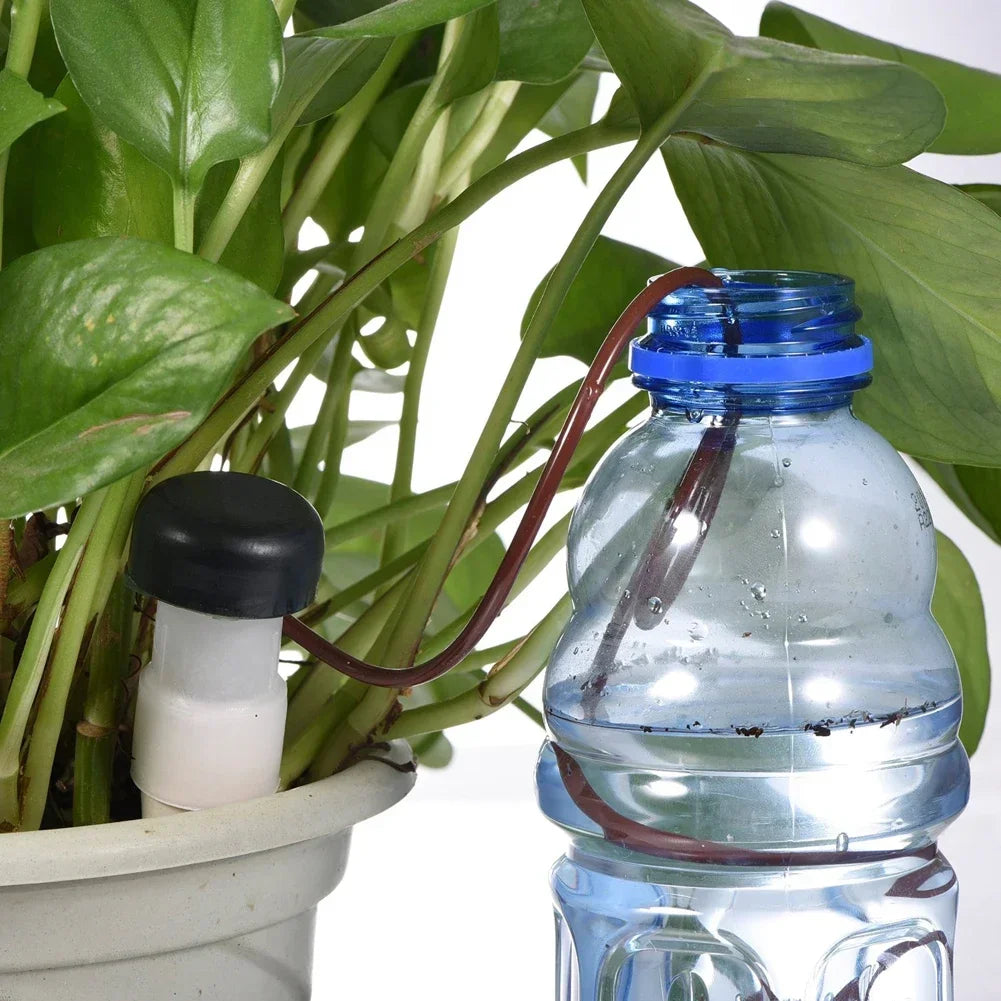 AquaTerris Plant Watering System | Set of 8 | Self-Watering Ceramic Spikes | Automatic & For Indoor Use