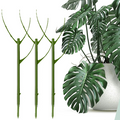 Floravio Plant Support 3-Piece Set | Stackable & Aesthetic | Natural Look | For Indoor & Garden Plants