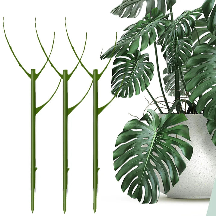 Floravio Plant Support 3-Piece Set | Stackable & Aesthetic | Natural Look | For Indoor & Garden Plants