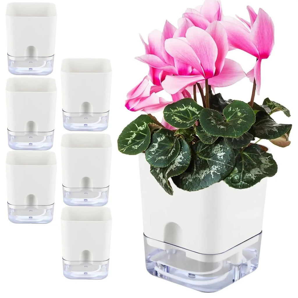 BloomEase Plant Pot | Self-Watering & Space-Saving | With Water Level Indicator | For Indoor Plants & Herbs