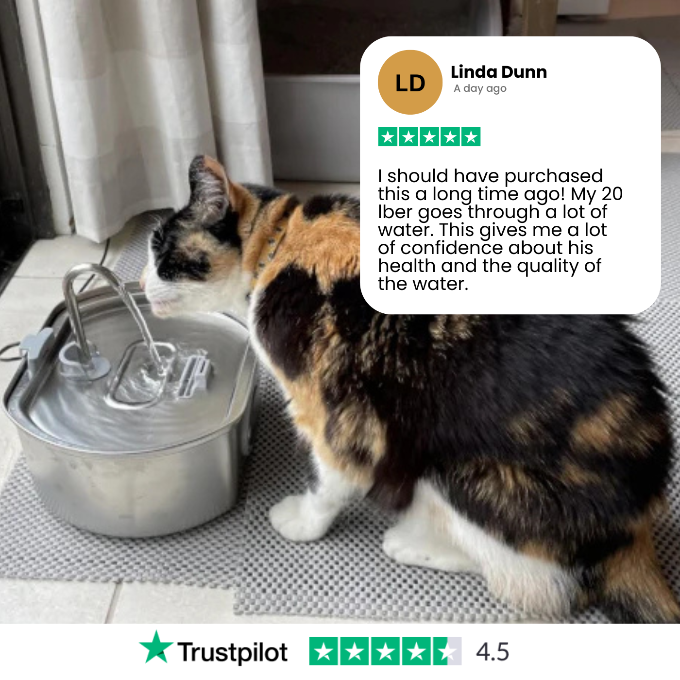 Felindra Cat Drinking Fountain made of Stainless Steel | Flowing Water for Better Hydration | Quiet & Hygienic | 2.5 L Capacity