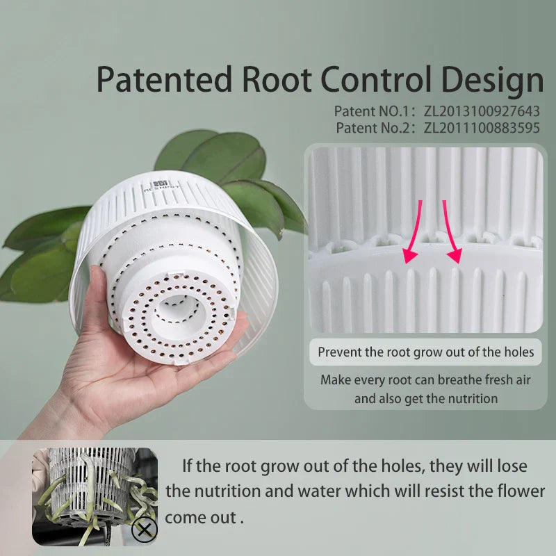 Aëria Orchid Pot | Ventilated Plant Pot with Drainage Holes | 12 cm | Durable PP Material for Indoor & Outdoor Use