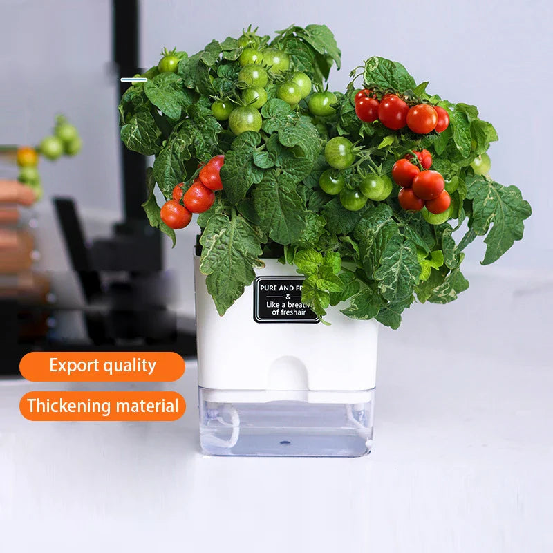 BloomEase Plant Pot | Self-Watering & Space-Saving | With Water Level Indicator | For Indoor Plants & Herbs