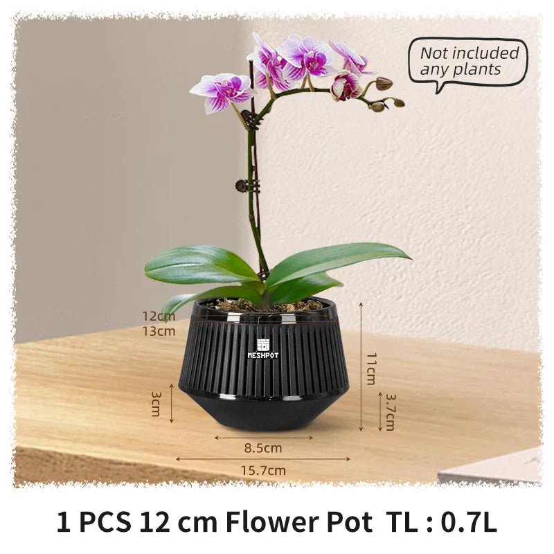 Aëria Orchid Pot | Ventilated Plant Pot with Drainage Holes | 12 cm | Durable PP Material for Indoor & Outdoor Use