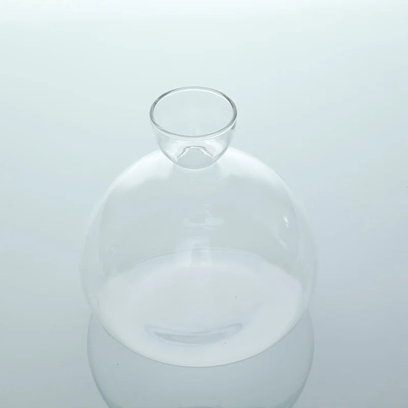 Avocado Vase Glass | Transparent Germination Jar | Plant Container for Avocado Cultivation | 10–15 cm