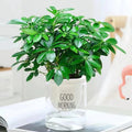 Artificial Plant EverLeaf 33 | 33 cm | With Stem & Leaves | Easy Care Decoration for Home & Office