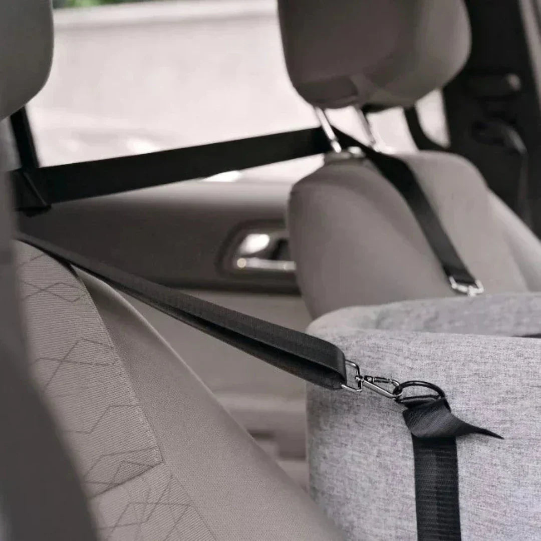 Car Dog Seat PetCruza | Safe & Padded | For Small Dogs up to 11 kg | Easy to Install