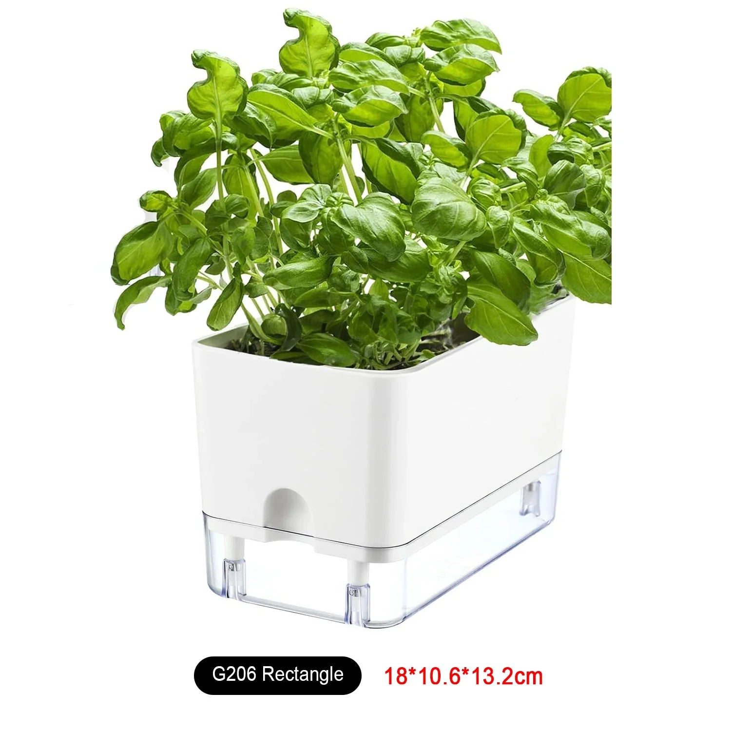 BloomEase Plant Pot | Self-Watering & Space-Saving | With Water Level Indicator | For Indoor Plants & Herbs