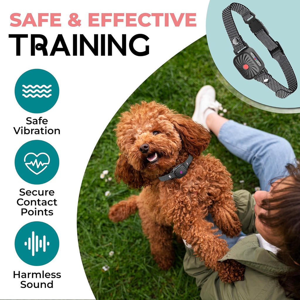 BelloSilent Anti-Bark Collar for Small Dogs | With Sound & Vibration | IP87 Waterproof | Adjustable & Gentle Training