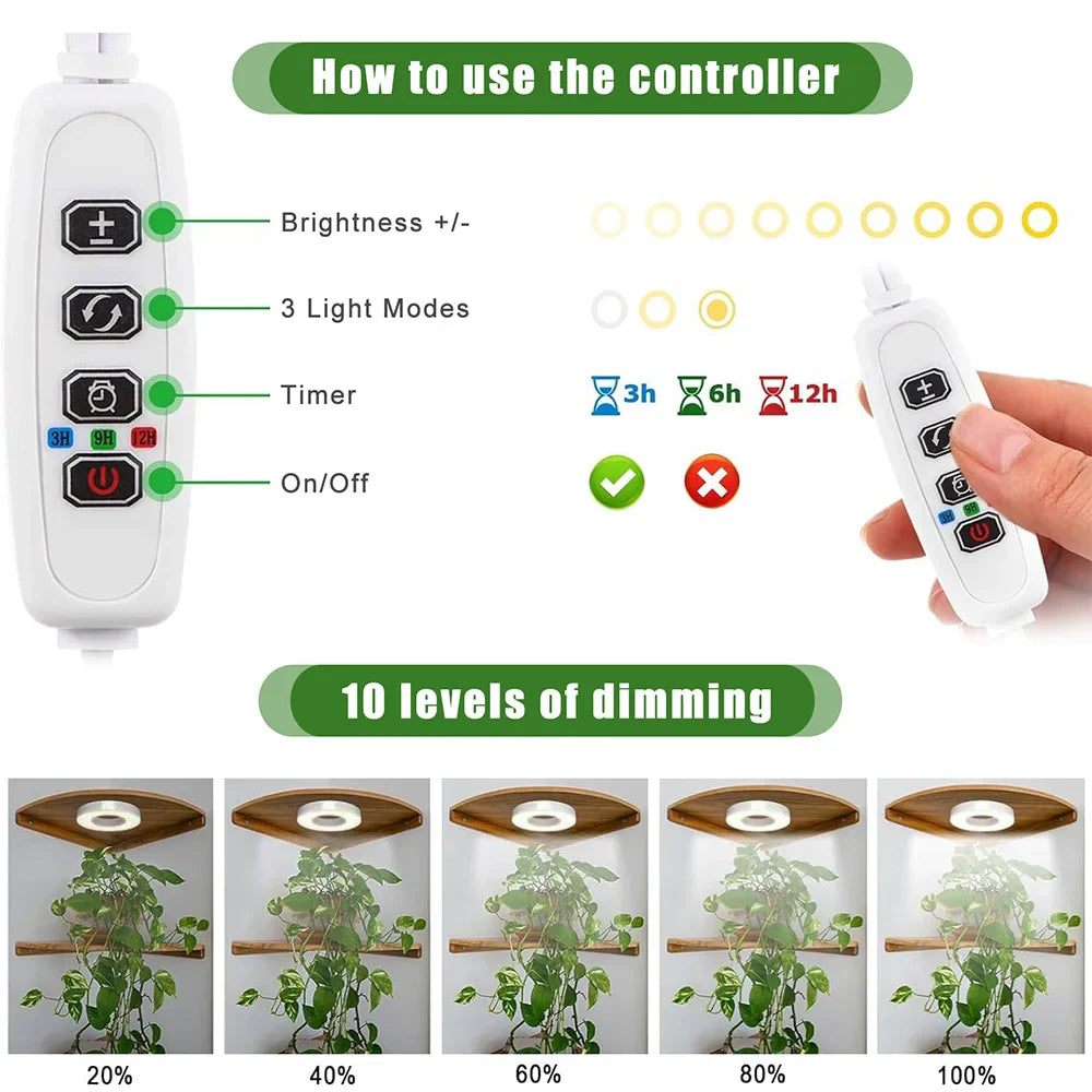 FloraHalo Plant Lamp | LED Full Spectrum Plant Lamp | 10 Brightness Levels & Timer | Ceiling & Under-Cabinet Halo Light for Houseplants