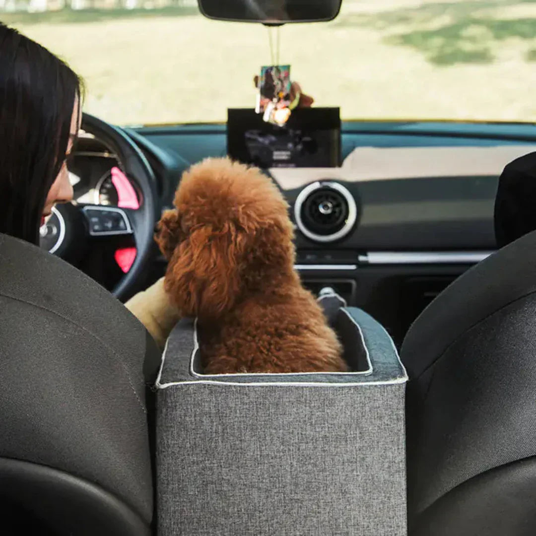 Car Dog Seat PetCruza | Safe & Padded | For Small Dogs up to 11 kg | Easy to Install