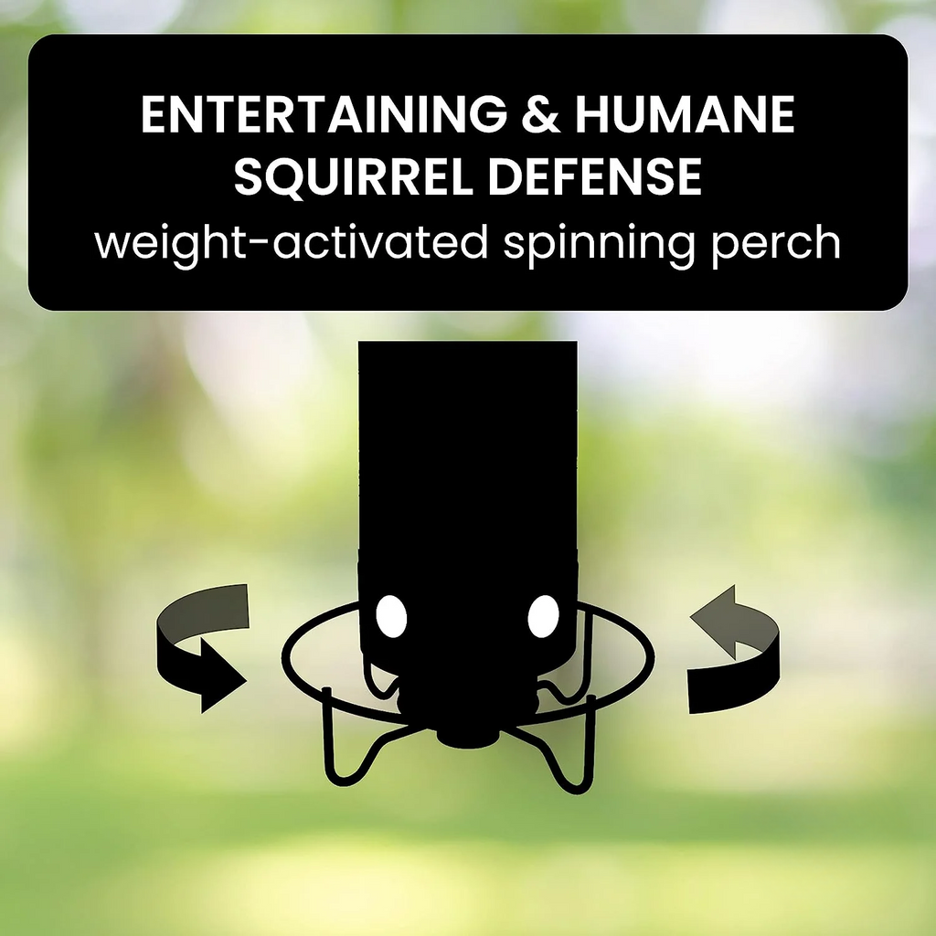 Aviron Bird Feeder with Anti-Squirrel Protection | Spinning Mechanism | 4 Feeding Openings | 2.27 kg Capacity
