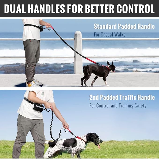 Walkora | Freihand-Hundeleine mit Stoßdämpfung | Verstellbarer Hüftgurt | Für Hunde von 20–36 kg