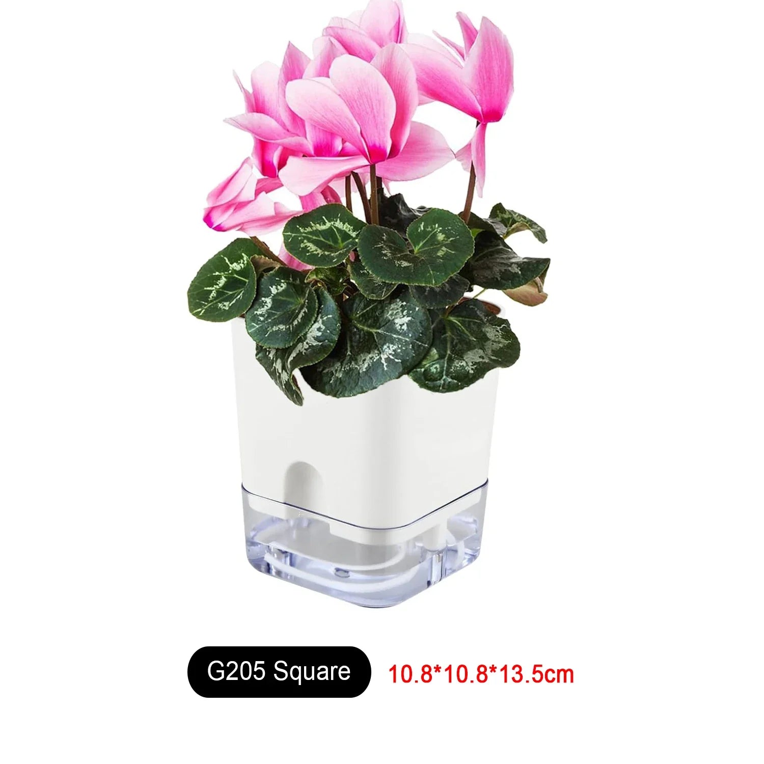 BloomEase Plant Pot | Self-Watering & Space-Saving | With Water Level Indicator | For Indoor Plants & Herbs