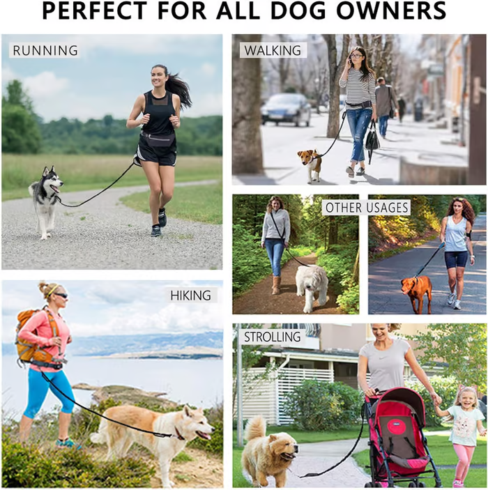 Walkora | Freihand-Hundeleine mit Stoßdämpfung | Verstellbarer Hüftgurt | Für Hunde von 20–36 kg