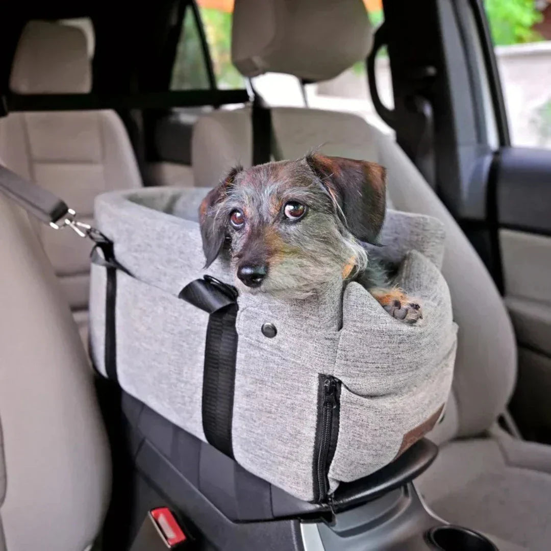 Car Dog Seat PetCruza | Safe & Padded | For Small Dogs up to 11 kg | Easy to Install