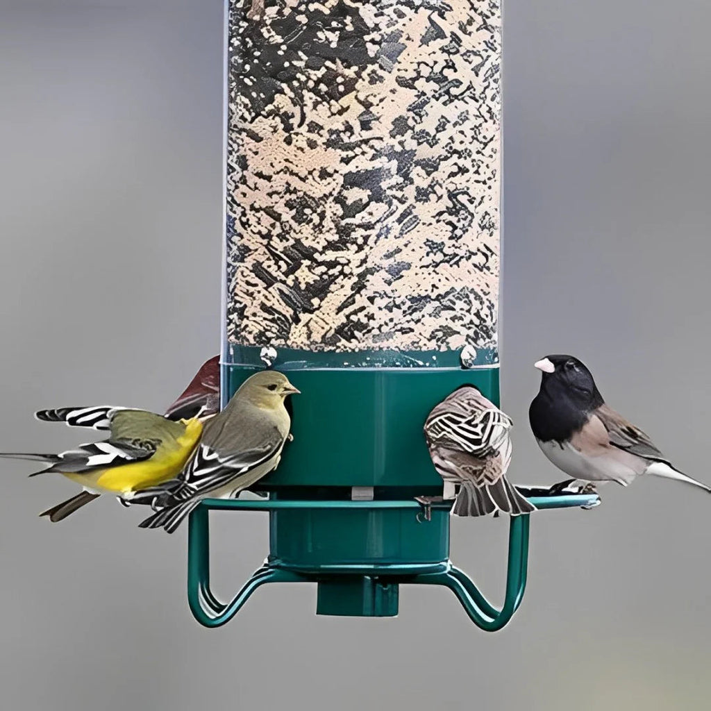 Aviron Bird Feeder with Anti-Squirrel Protection | Spinning Mechanism | 4 Feeding Ports | 2.27 kg Capacity