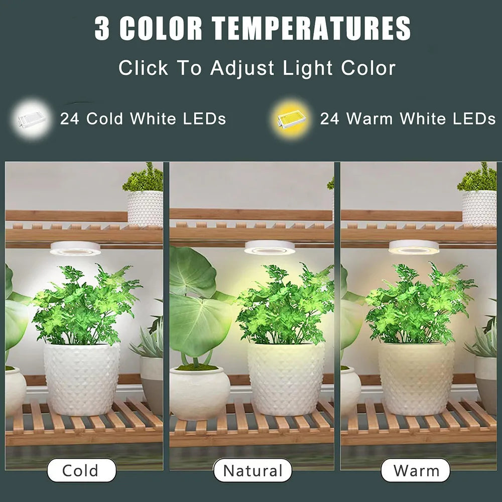 FloraHalo Plant Lamp | LED Full Spectrum Plant Lamp | 10 Brightness Levels & Timer | Ceiling & Under-Cabinet Halo Light for Houseplants