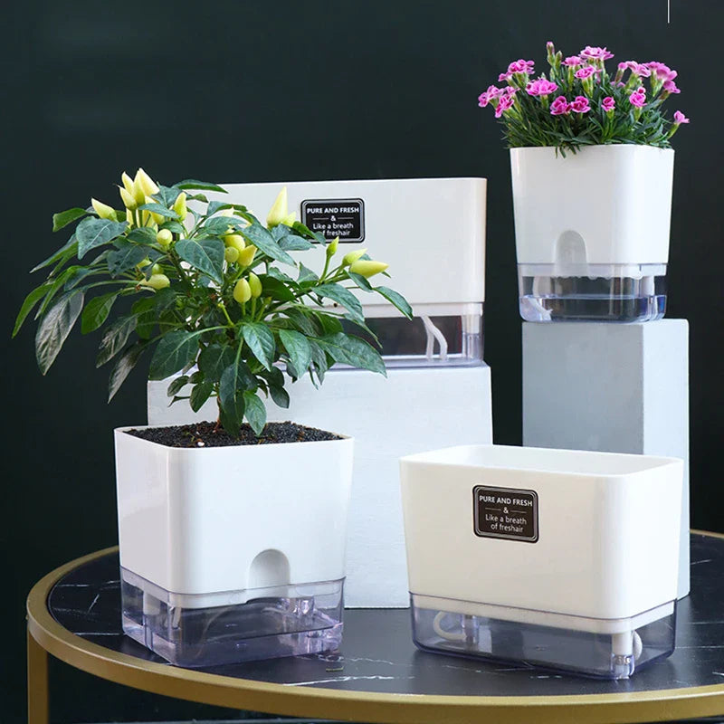 BloomEase Plant Pot | Self-Watering & Space-Saving | With Water Level Indicator | For Indoor Plants & Herbs