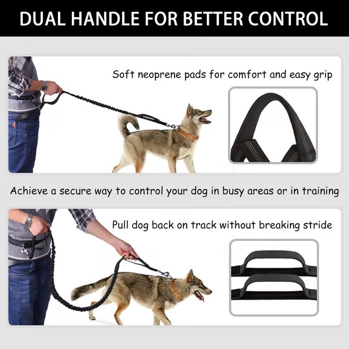 Walkora | Freihand-Hundeleine mit Stoßdämpfung | Verstellbarer Hüftgurt | Für Hunde von 20–36 kg