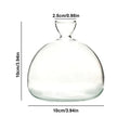 Avocado Vase Glass | Transparent Sprouting Jar | Plant Container for Avocado Cultivation | 10–15 cm