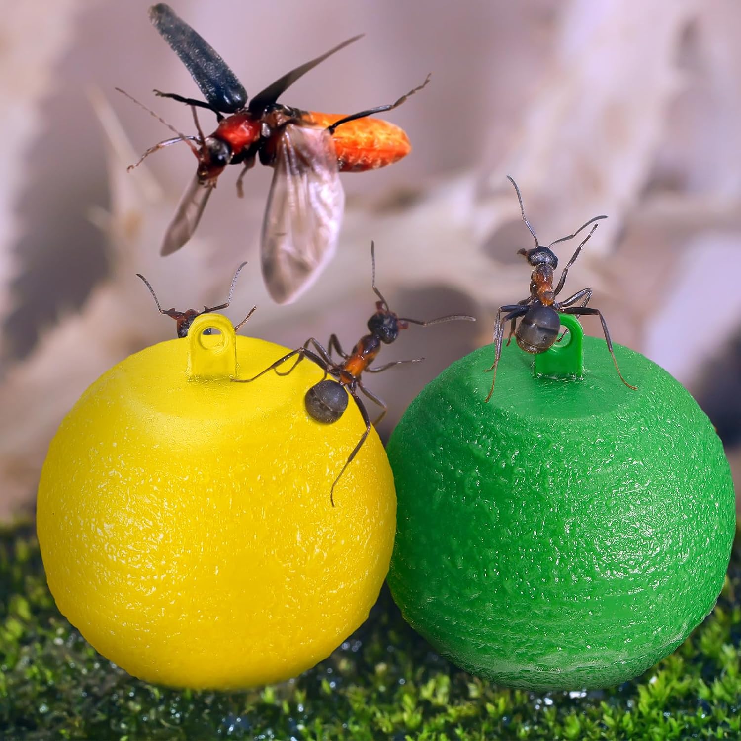 FlyGuard Hängende Obstfliegenfalle | 8 cm | Insekten- & Mückenfänger | Garten & Innenbereich