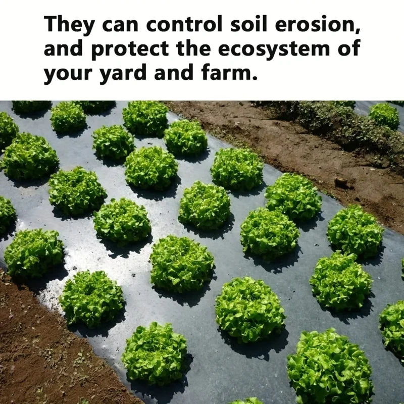 AgroShield Weed Control Fabric | Black Mulch Film | Plant Protection & Yield Increase | Ideal for Greenhouses