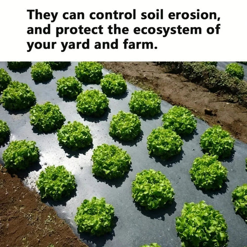 AgroShield Weed Control Fabric | Black Mulch Film | Plant Protection & Yield Increase | Ideal for Greenhouses