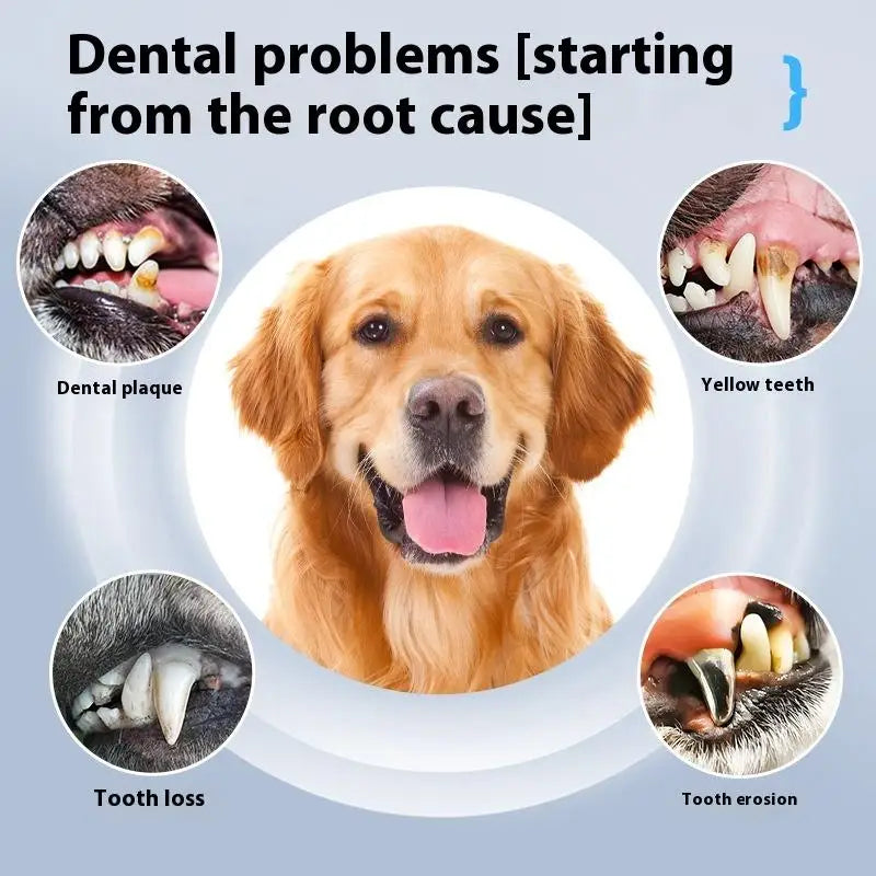 DentoraSonic | Ultrasonic Dental Care Device for Dogs & Cats | 5-Level Tartar Remover | USB Charging