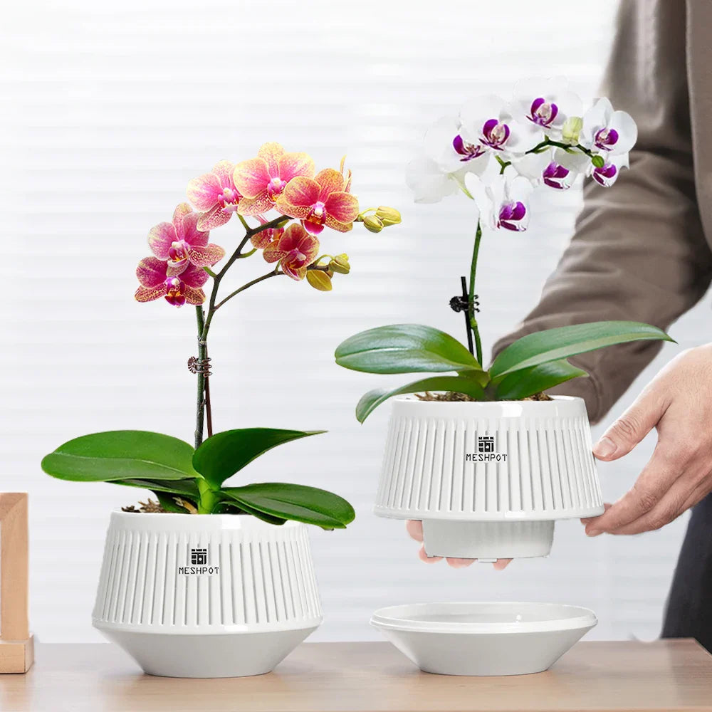 Aëria Orchid Pot | Ventilated Plant Pot with Drainage Holes | 12 cm | Durable PP Material for Indoor & Outdoor Use
