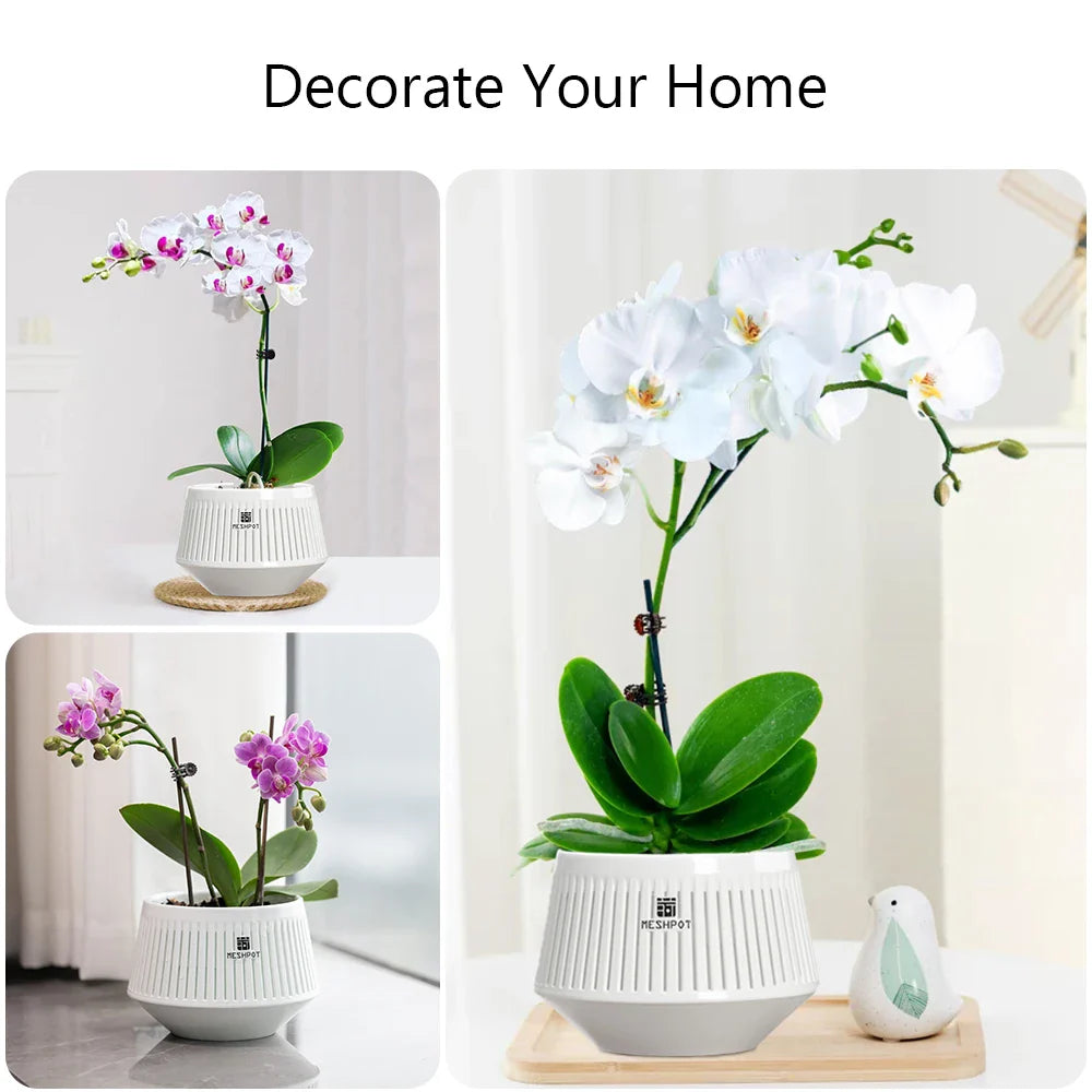 Aëria Orchid Pot | Ventilated Plant Pot with Drainage Holes | 12 cm | Durable PP Material for Indoor & Outdoor Use
