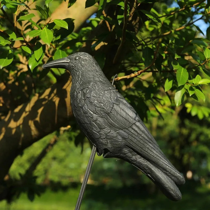Corvexis Krähen Attrappe 35 cm | Vogelabwehr Rabe aus Kunststoff | Garten & Balkon Dekoration