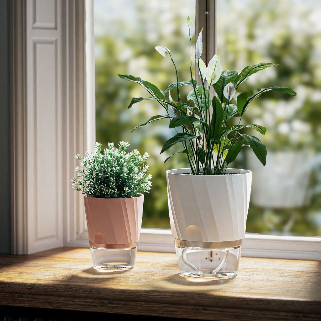Hydrova Selbstbewässernder Hydroponik Blumentopf | Transparentes Doppel-System | Automatische Wasseraufnahme