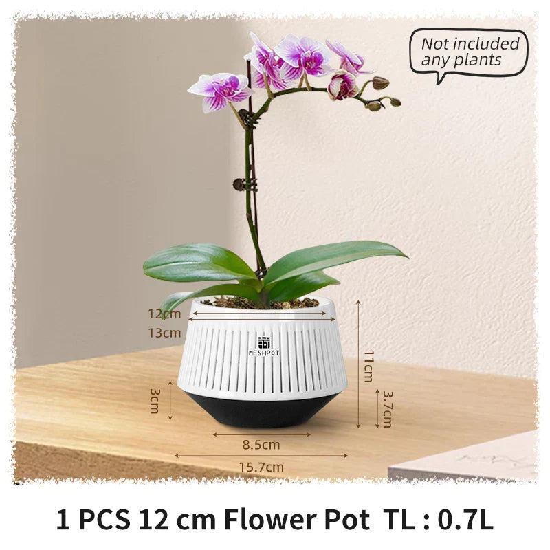 Aëria Orchid Pot | Ventilated Plant Pot with Drainage Holes | 12 cm | Durable PP Material for Indoor & Outdoor Use