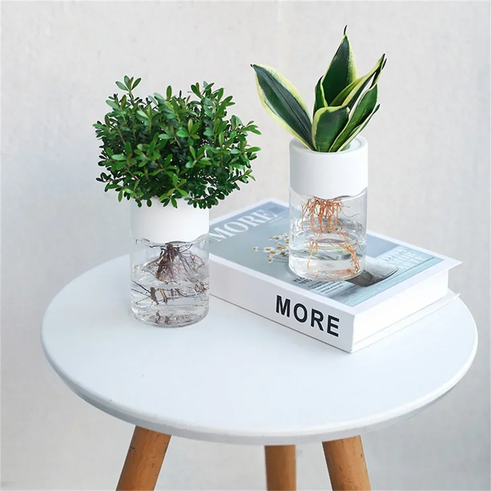 Aqualia | Hydrokultur Pflanzgefäß | Selbstbewässernder Blumentopf | Transparentes Design 14 cm
