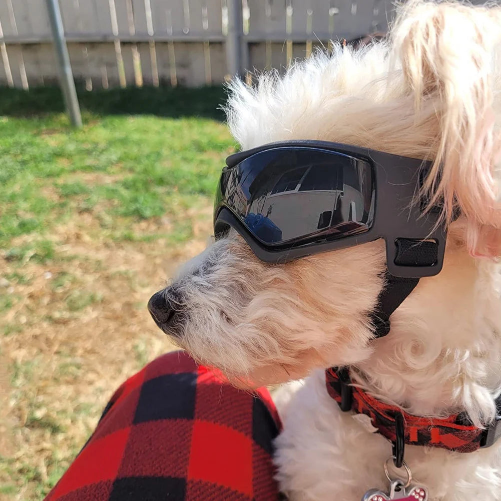 SunPaws Hunde Sonnenbrille | UV-Schutz Schutzbrille für Hunde & Katzen | Antibeschlag mit Belüftung | Verstellbare Gurte | Größe S/M