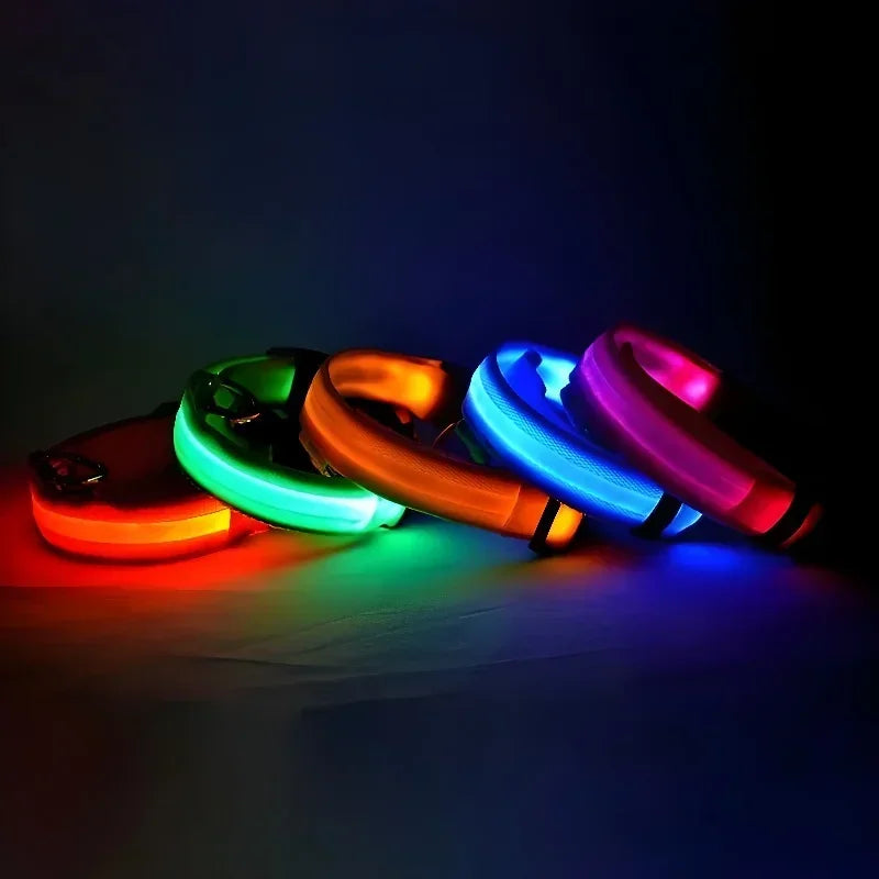 LED Hundehalsband | Leuchtendes Sicherheits-Halsband für Hunde | Wiederaufladbar & Blinkend | Lumipaw