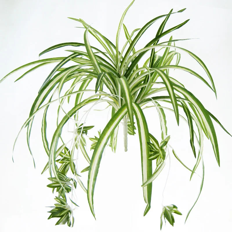 GrünEleganz Künstliche Chlorophytum Pflanze | 65 cm | Wandhängend | PVC Deko für Wohnzimmer & Hochzeit