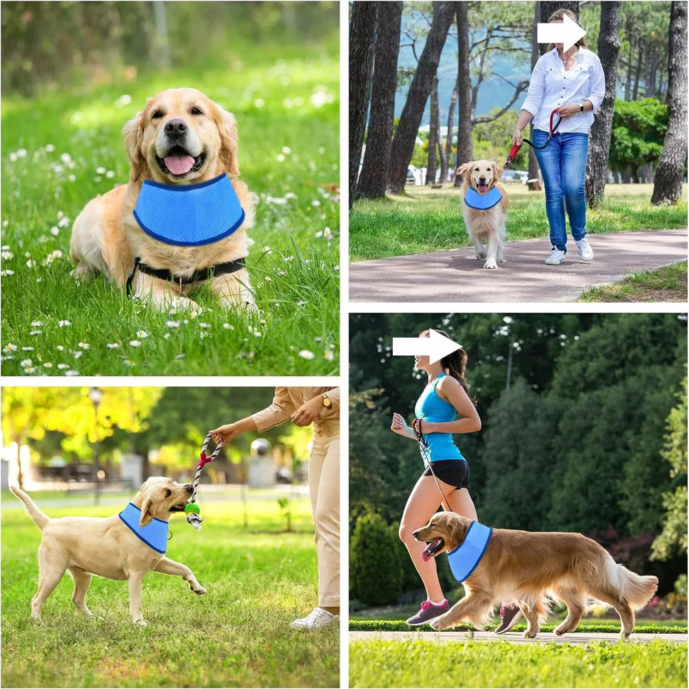 FrostPaw | Kühlendes Hundehalstuch | Kühlhalsband für Hunde & Katzen | Atmungsaktiv für den Sommer
