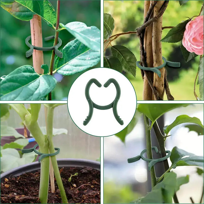 ClimbFix Garden Pflanzenclips 100/200er Set | 3 Größen | Rankhilfe Clips Grün