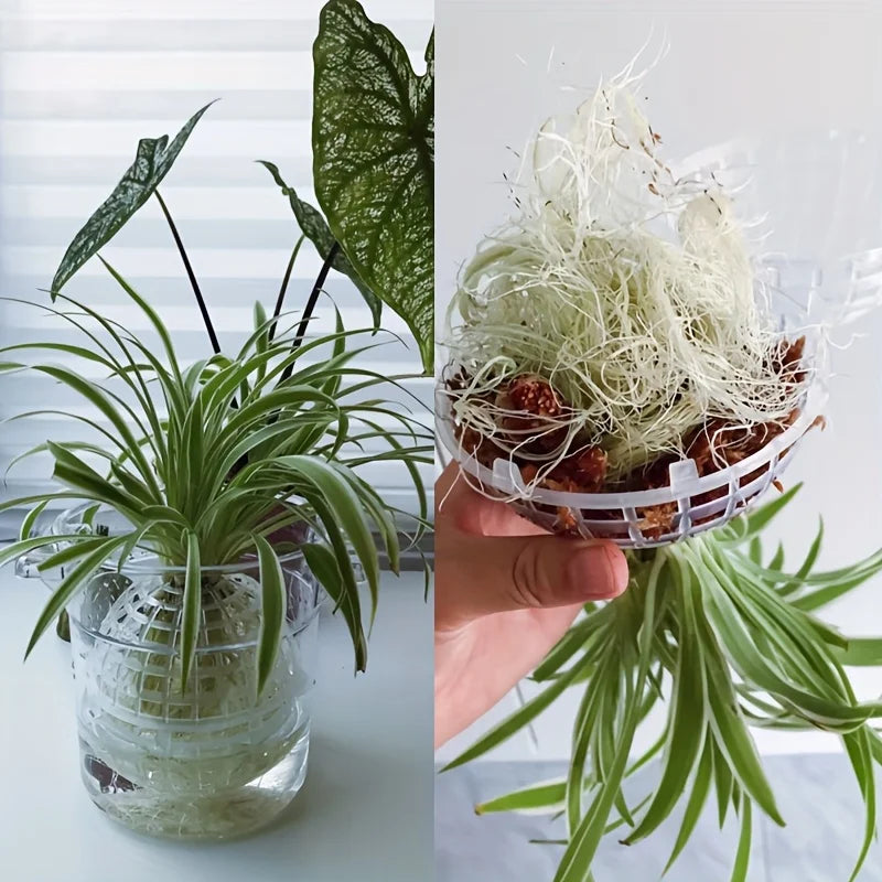 GreenSphere Moderne Hänge-Mooskugel | Kunststoff mit Abflussloch | Zubehör für Orchideen & Farne | Indoor & Outdoor
