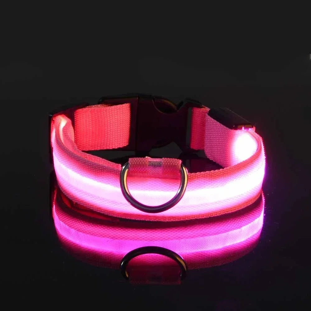 LED Hundehalsband | Leuchtendes Sicherheits-Halsband für Hunde | Wiederaufladbar & Blinkend | Lumipaw