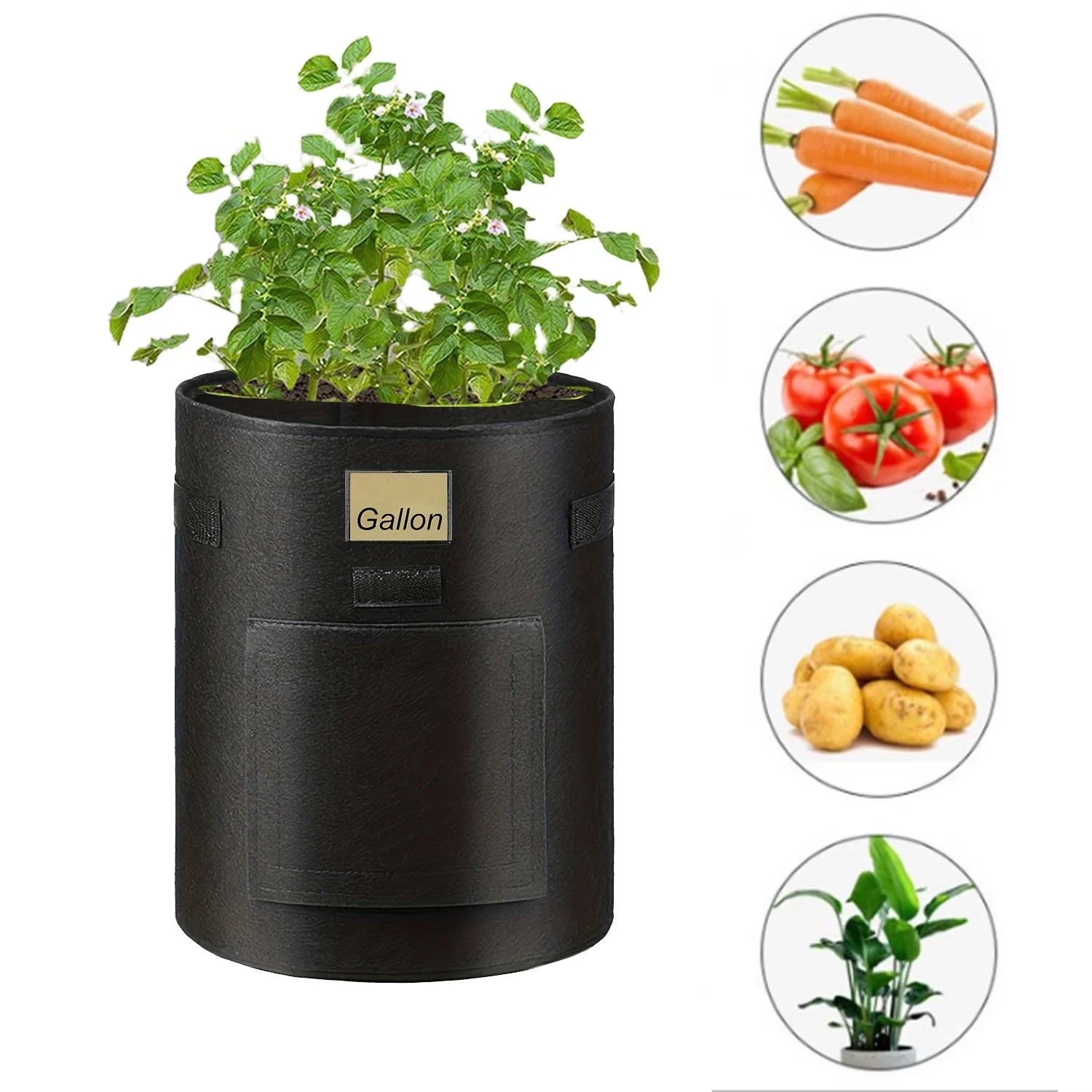GrowVista | Pflanzsack mit 360° Sichtfenster | Atmungsaktiver Kartoffel-Pflanzbeutel für Gemüse und Blumen