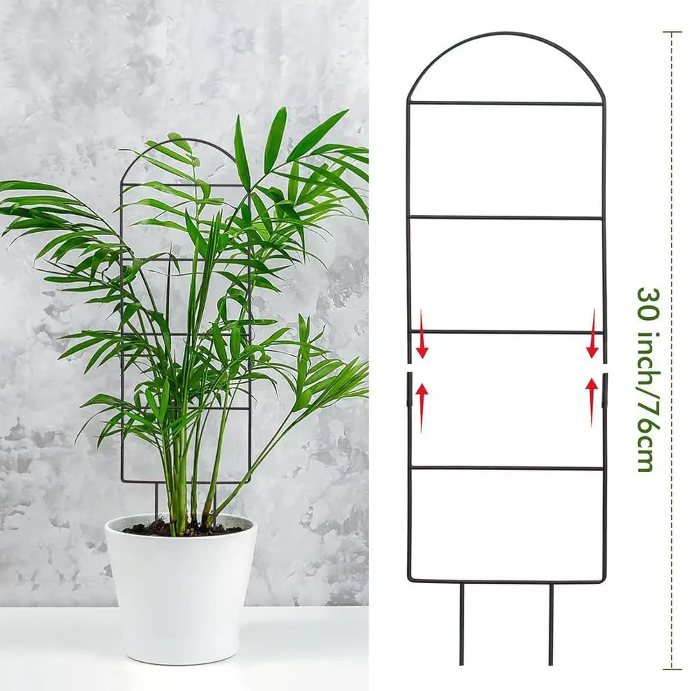 Rankora | Verstellbare Pflanzenrankhilfe aus Metall | Rostfreie Kletterpflanzen-Stütze | Für Monstera, Efeu, Tomaten & Pothos | 76 x 30 cm