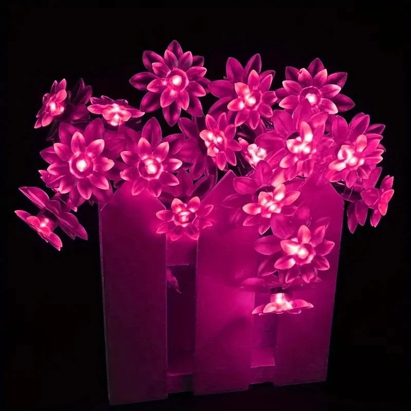 Lumiflora | Solar-Lichterkette Lotusblüte | Warmweiß | Wetterfest | 20–100 LEDs | 5–12 m
