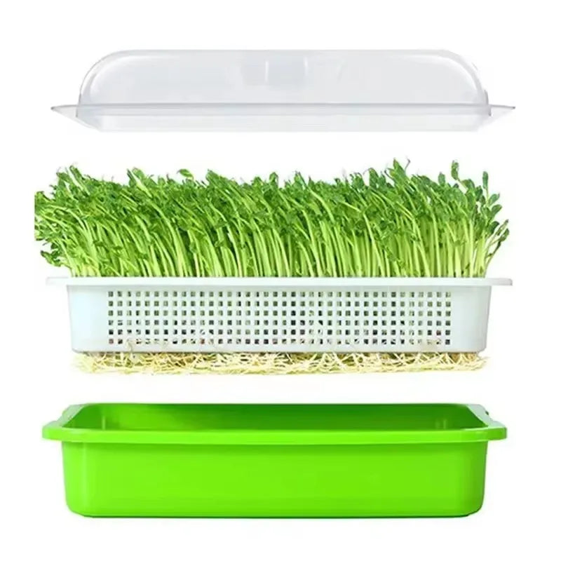 Sproutella | Keimschalen-Set für Sprossen & Microgreens | Hydrokultur-Anzuchtschale ohne Erde | Für Bohnen, Erbsen & Keimsaaten