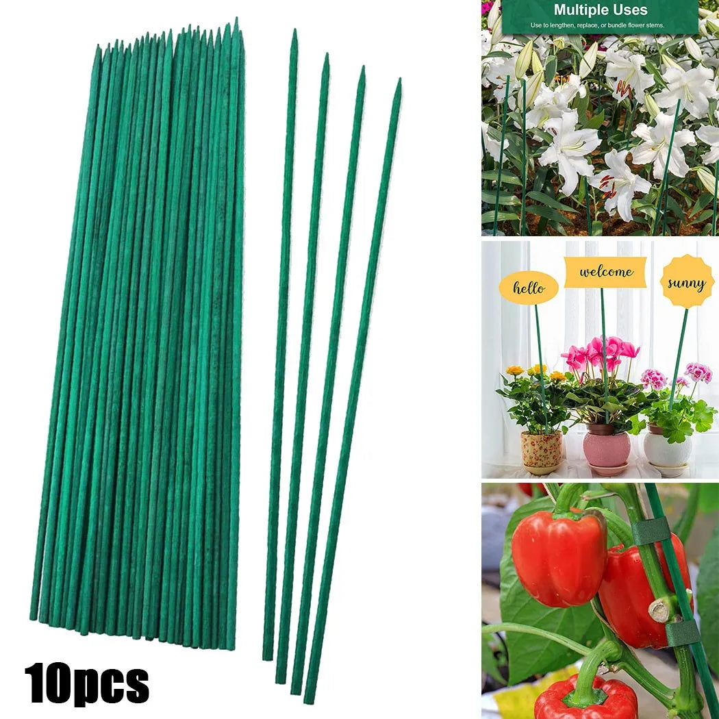 GreenCore Garden Pflanzstäbe 40 cm | 10er Set Bambus | Grün | Pflanzenstütze